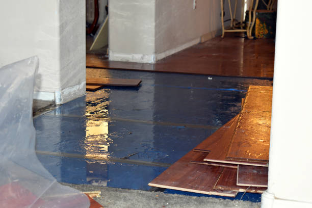 Professional Water Extraction technician working in New Boston, OH